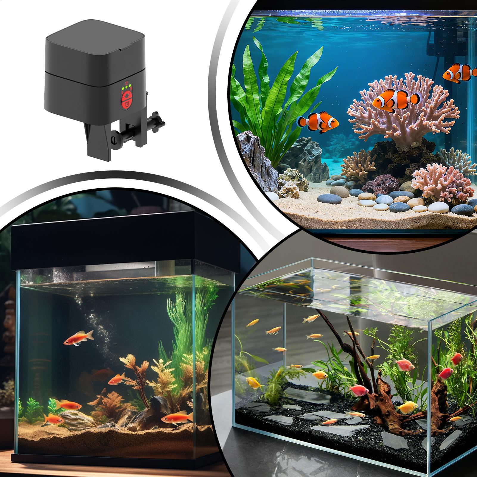 Auto Fish Feeder For Aquarium  - Fishing Line Dispenser review and price